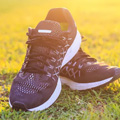 mksports